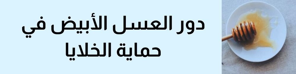 دور العسل الأبيض والفيتامينات (E, C) في حماية الخلايا وتعزيز بنيتها